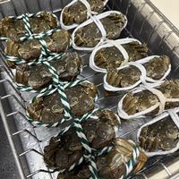 大闸蟹崩到5元一只！双11先躲开蟹券：3种坑和出手时间表