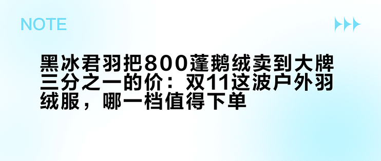黑冰君羽把800蓬鹅绒卖到大牌三分之一的价：双11这波户外羽绒服，哪一档值得下单？