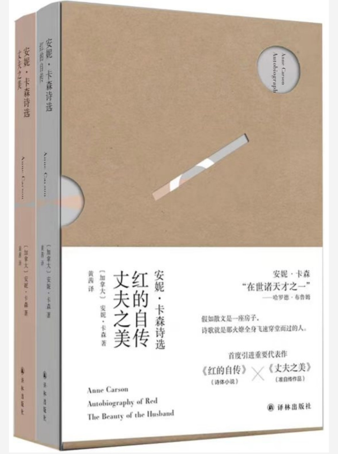 满屏都是安妮·卡森的金句，可《红的自传》是47首诗讲完一个故事：先分清「摘一句」和「读一本」