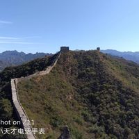 孩子小天才里藏着一个你不知道的世界:赞是货币、号能换钱、破解40元