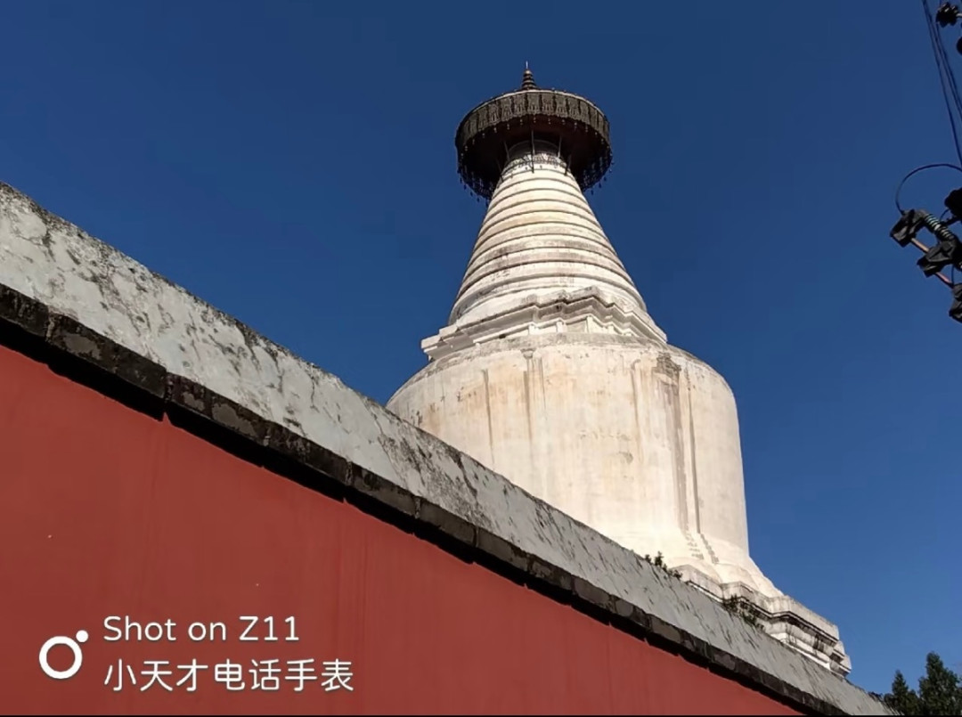 孩子小天才里藏着一个你不知道的世界:赞是货币、号能换钱、破解40元