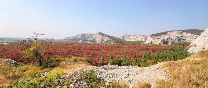 坡峰岭正巅峰，秋林铺已秃：追秋前，先查你笔记的