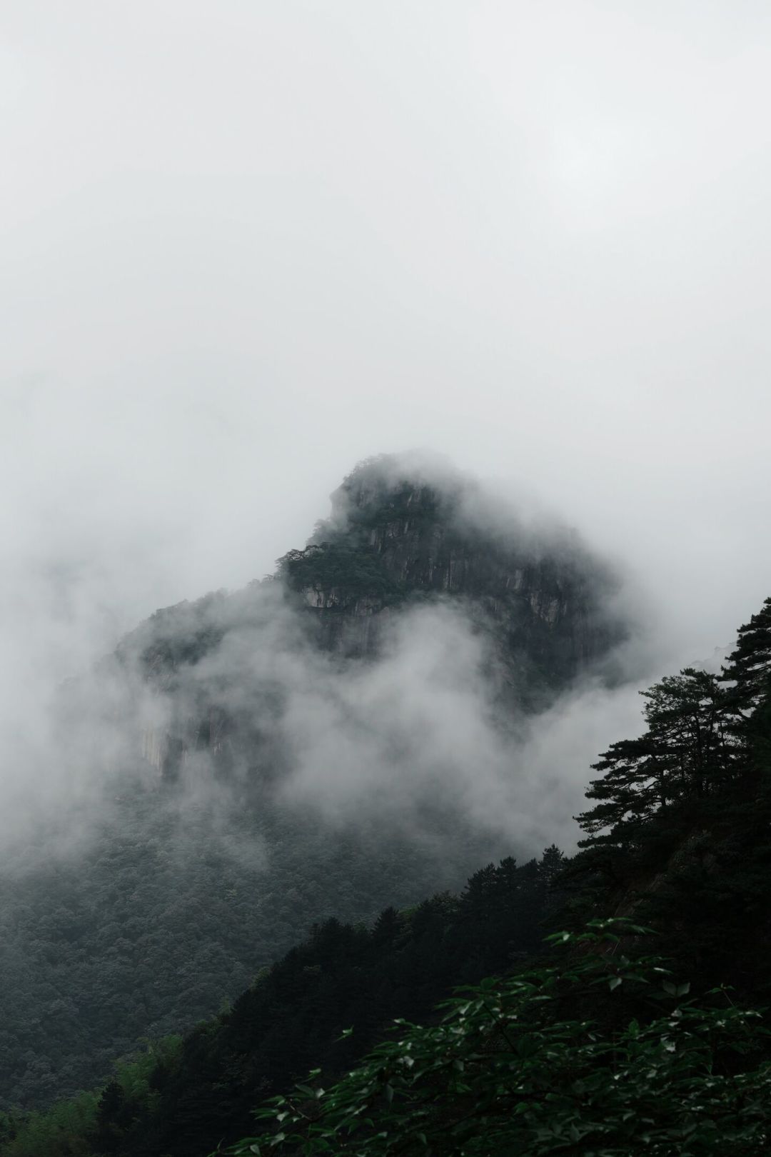 双11满屏冲锋衣:先分清是