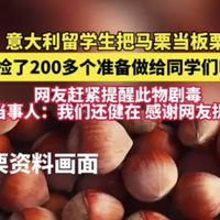 4万人手痒去捡板栗，我劝你先花10秒确认：它真的是板栗吗