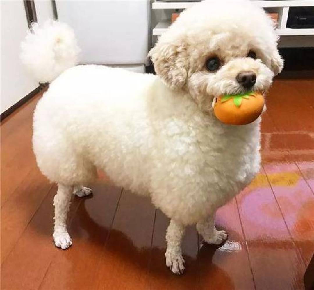 绿茶性寒,喝不喝?争论是真的,答案藏在这三步冲泡里