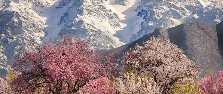 挑氨糖软骨素，我先学会看标签