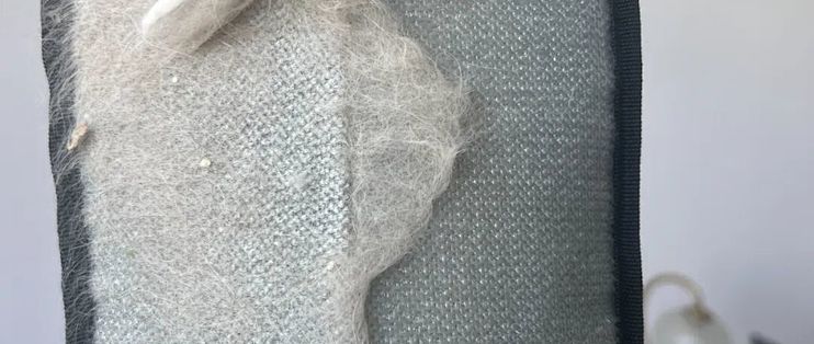 吸尘器过了几遍还能刮出一层猫毛？双11别急着买除毛神器，先翻出家里的玻璃刮