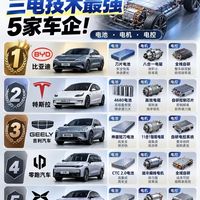 国内三电最强五家车企!买新能源直接参考