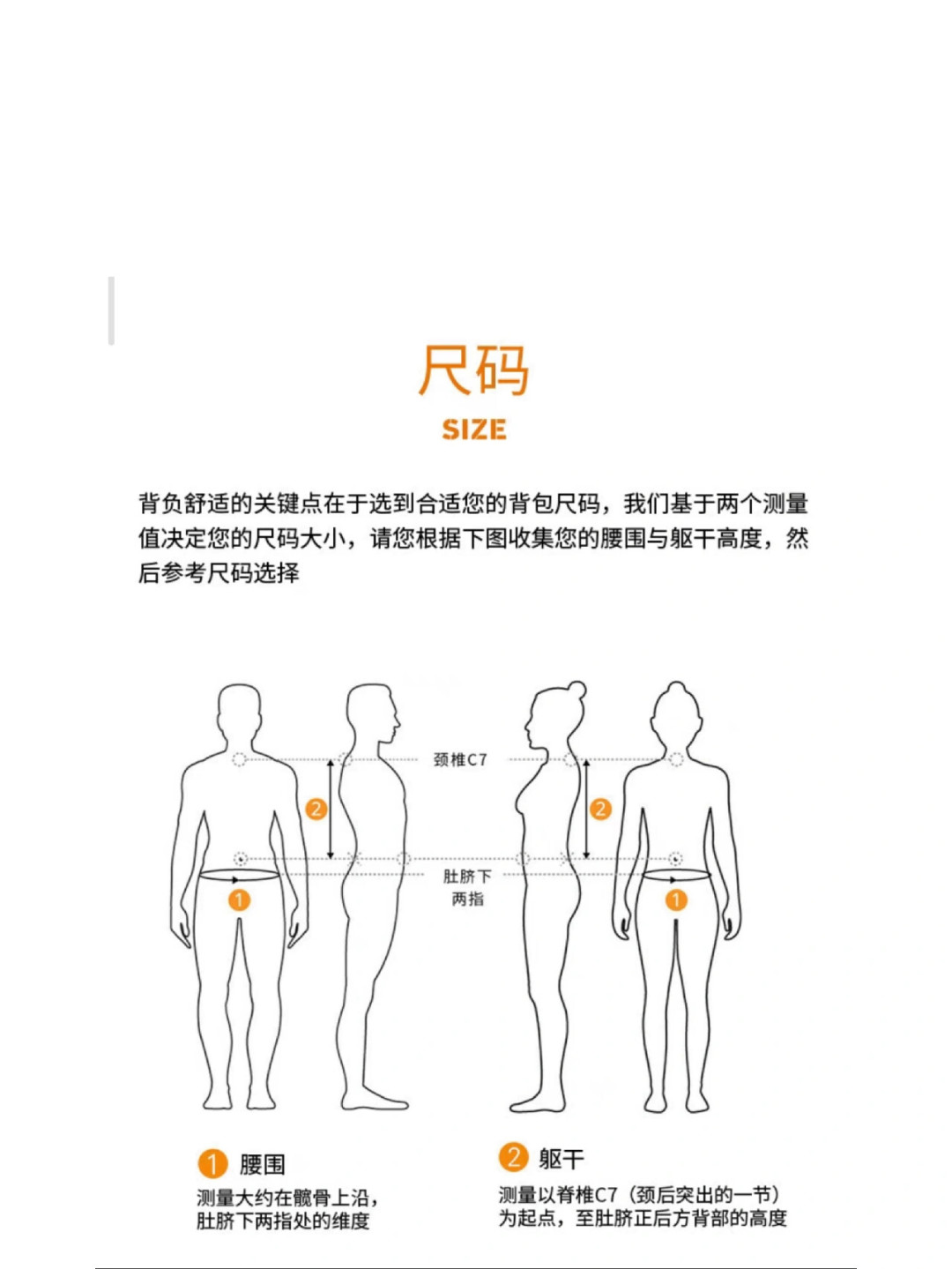 神秘农场选码:看背长不看身高,一张官方尺码表解决