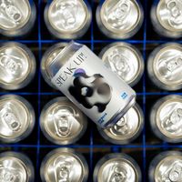 17岁的成都老厂道酿：山姆80块8罐IPA，全家冷柜六款，从哪罐下手