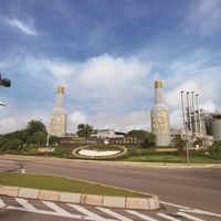 金门高粱老酒，喝还是卖？先看瓶盖那4个数