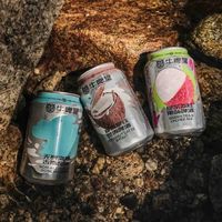 被嫌弃"啤酒怎么是酸的"，这瓶帝都海盐熬成了国产精酿入门标杆