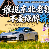 谁说东北老铁不爱绿牌轿跑?方程S不差事!