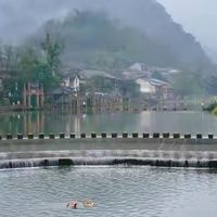 解析蛋白粉标签数据与实测差异