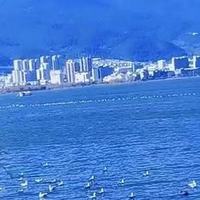 男士面部素颜霜分享｜6款提亮素颜霜自用感受参考