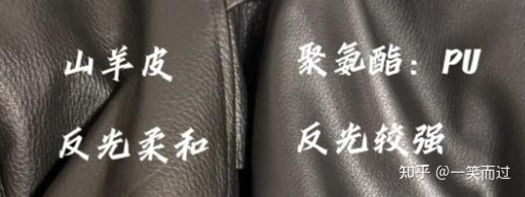 黄仁勋一件皮衣拍了96万美元：咱买皮衣，多少钱该买到什么皮