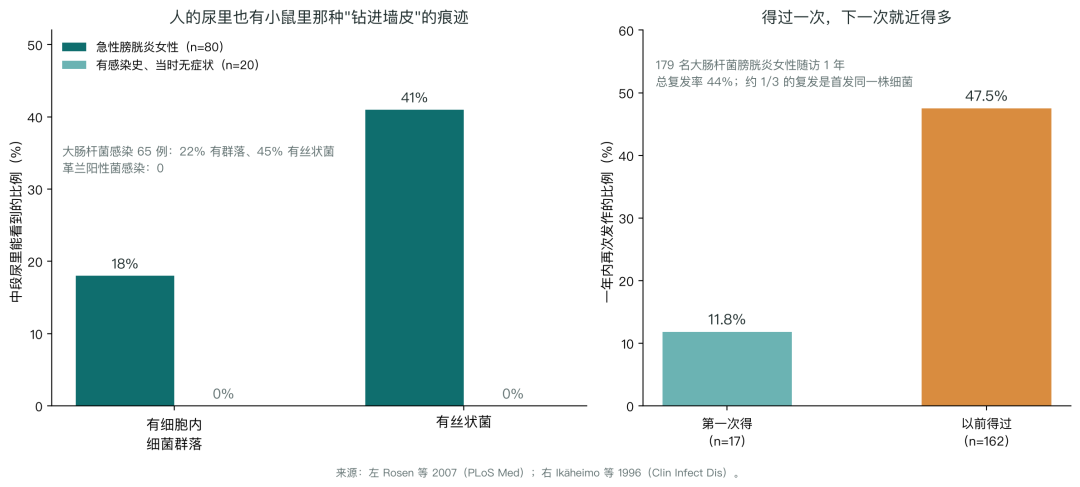 「多久一次算正常」？真研究显示：一周1次就到顶，再多不加分