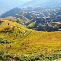 别先为"深圳免票"上头：11月免票分3档，先查你在哪一档
