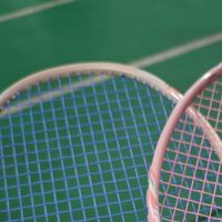 四个月从1262跌到552：价格触底，挥重拉满，这把颜值龙牙到底谁该买