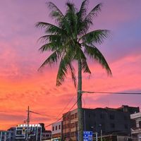 互勉约拍翻车，问题不在钱：这5件事没约在前头，谁都是冤大头