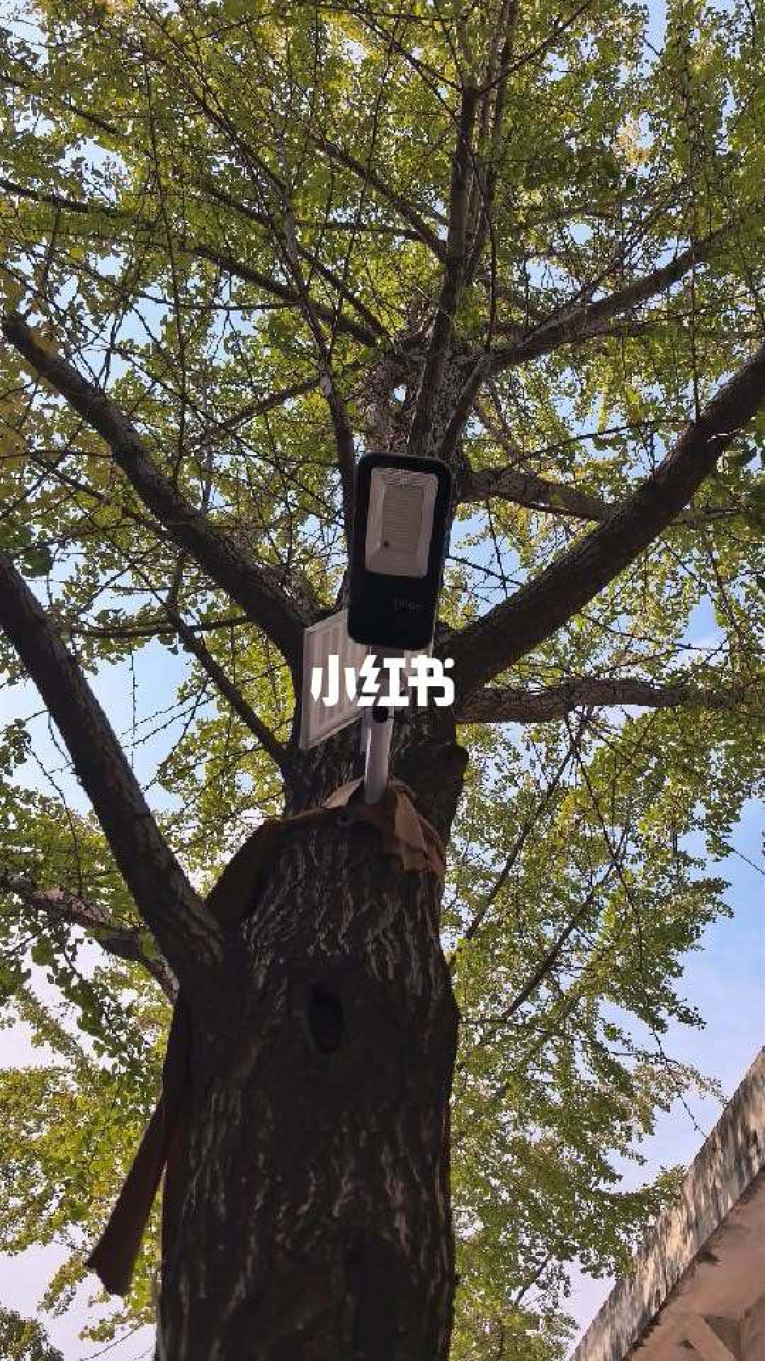 露台灯光别乱买:先定光给谁用,再选太阳能还是布线