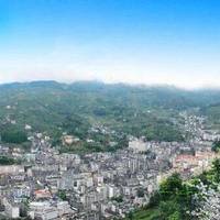 村BA冠军领走一头牛：已随虎门队回莞，往届冠军牛没一头变成火锅