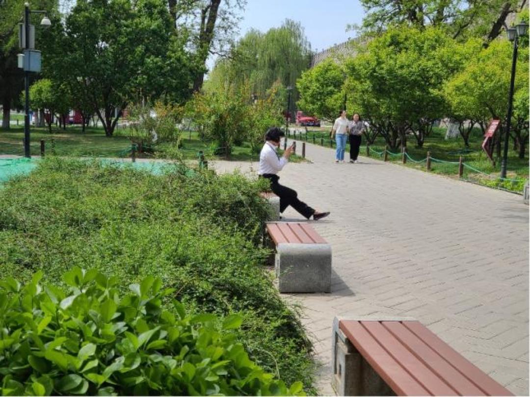 公园20分钟效应:选哪块绿地、手机干什么,才决定管不管用