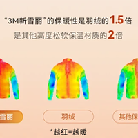 满街都是3M新雪丽棉服，一百多的先别下单