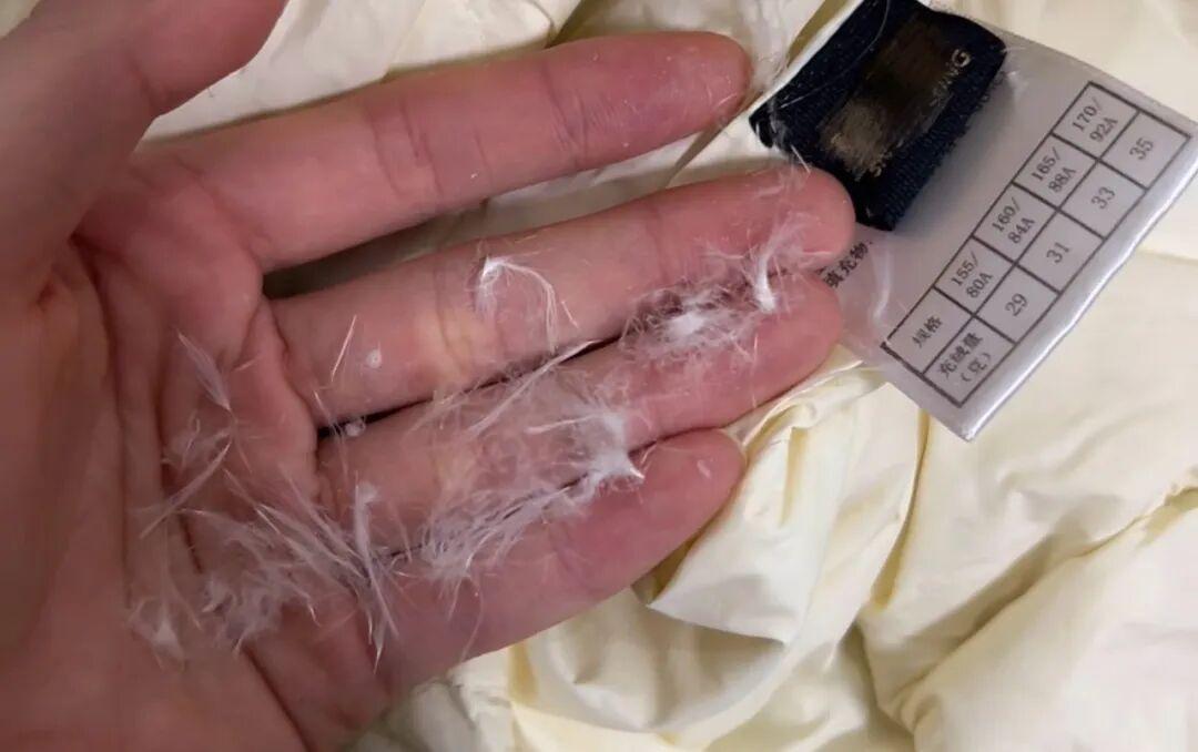 满街都是3M新雪丽棉服，一百多的先别下单