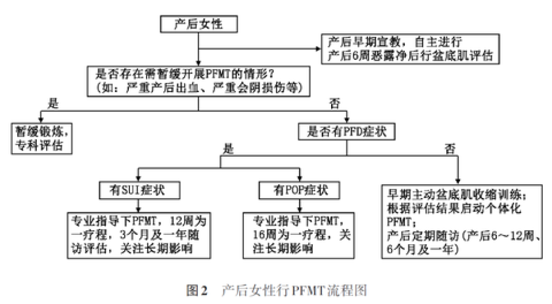 打喷嚏漏尿、跟练找不到发力点?盆底肌先练对这5步