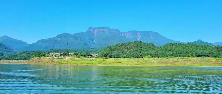 同价位的灵芝孢子粉，差别不在克数上
