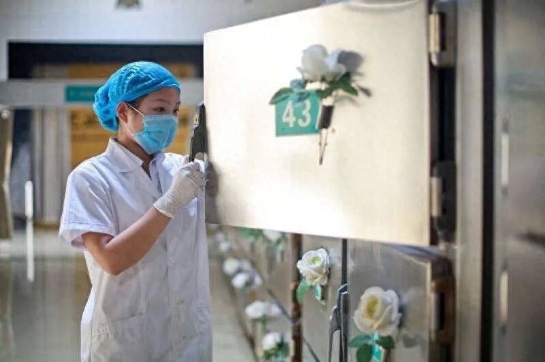 想干入殓师?先看这份比“高薪”更真的入行清单