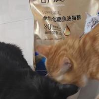 让抗拒鱼油的挑食猫主动吃饭！麦富迪舒然猫粮初体验