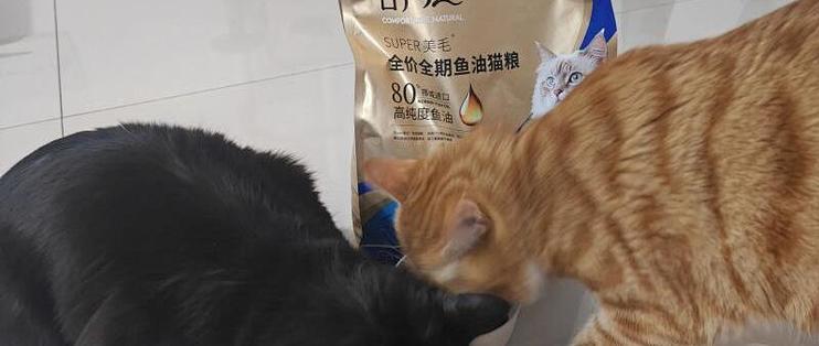 让抗拒鱼油的挑食猫主动吃饭！麦富迪舒然猫粮初体验