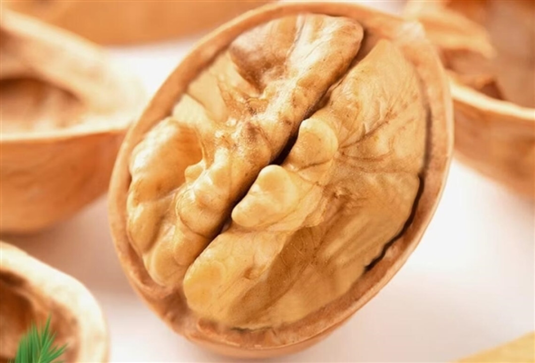 吃什么补什么真的靠谱吗 专家：以形补形没有科学证据