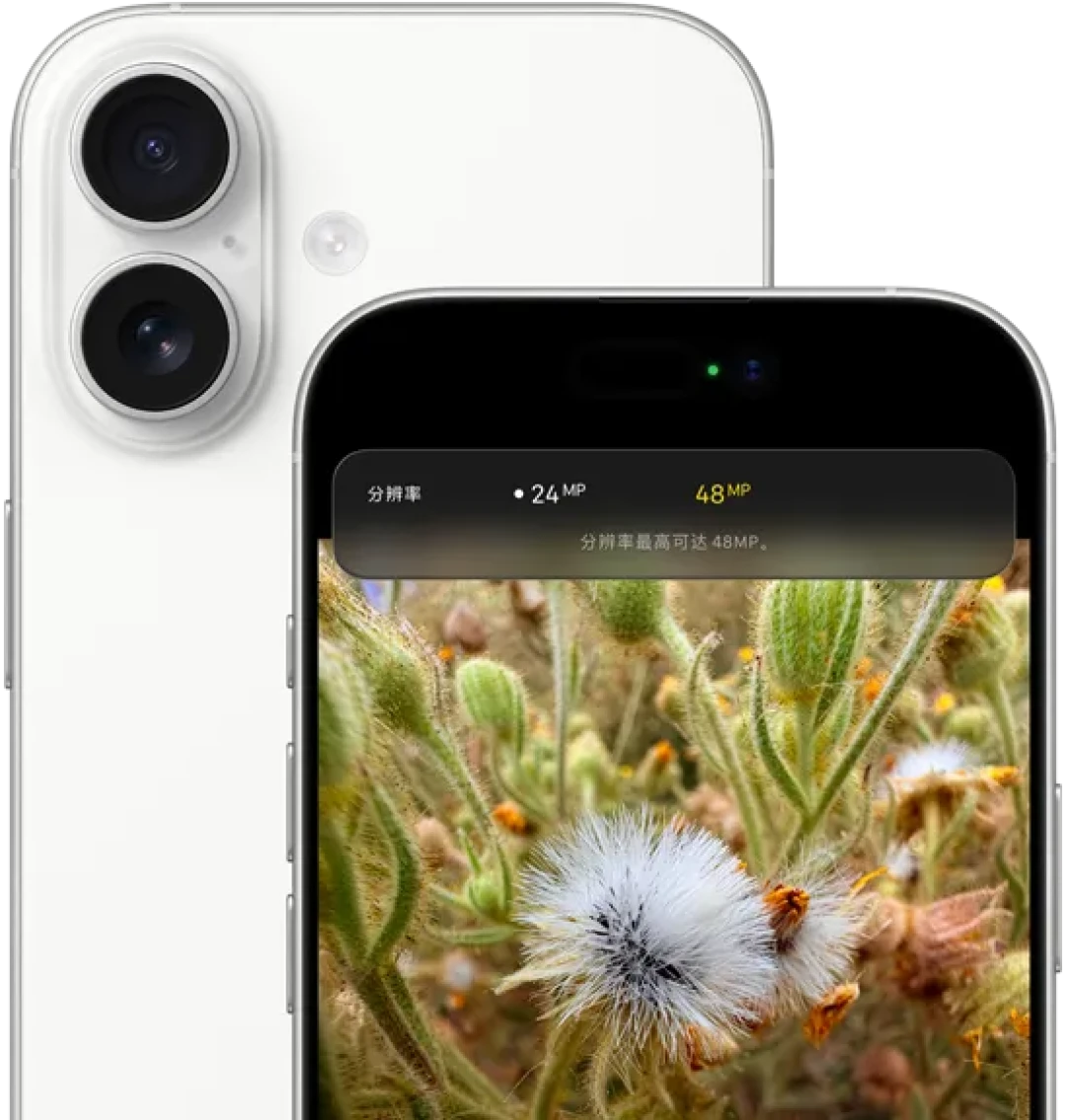 iPhone17先涨价再「立减1000」:刚需的别等18了