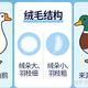 鹅绒比鸭绒贵近一倍，凭什么？双11买羽绒服，先问吊牌上三个数