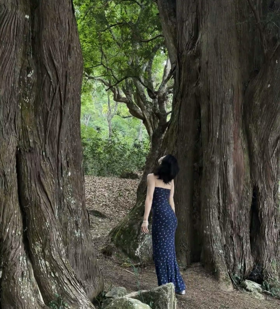 JIDA 无袖裙子夏季女高级感小个子气质吊带裙度假风洋气方领显