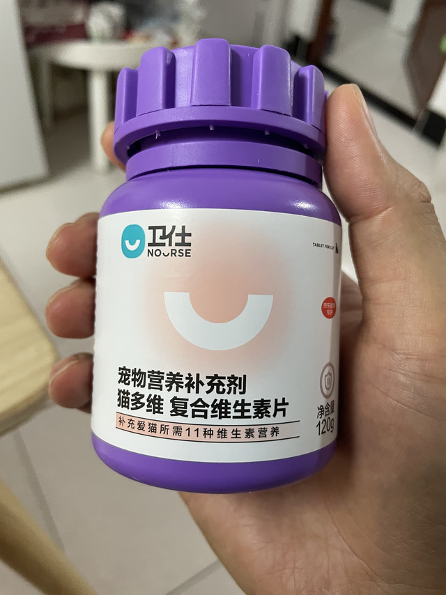 猫总舔墙皮，买点猫多维片试试