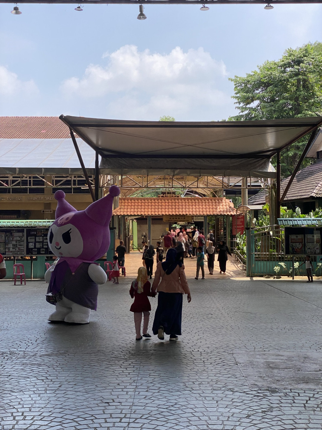追寻黑白动物马来貘-马来西亚太平动物园