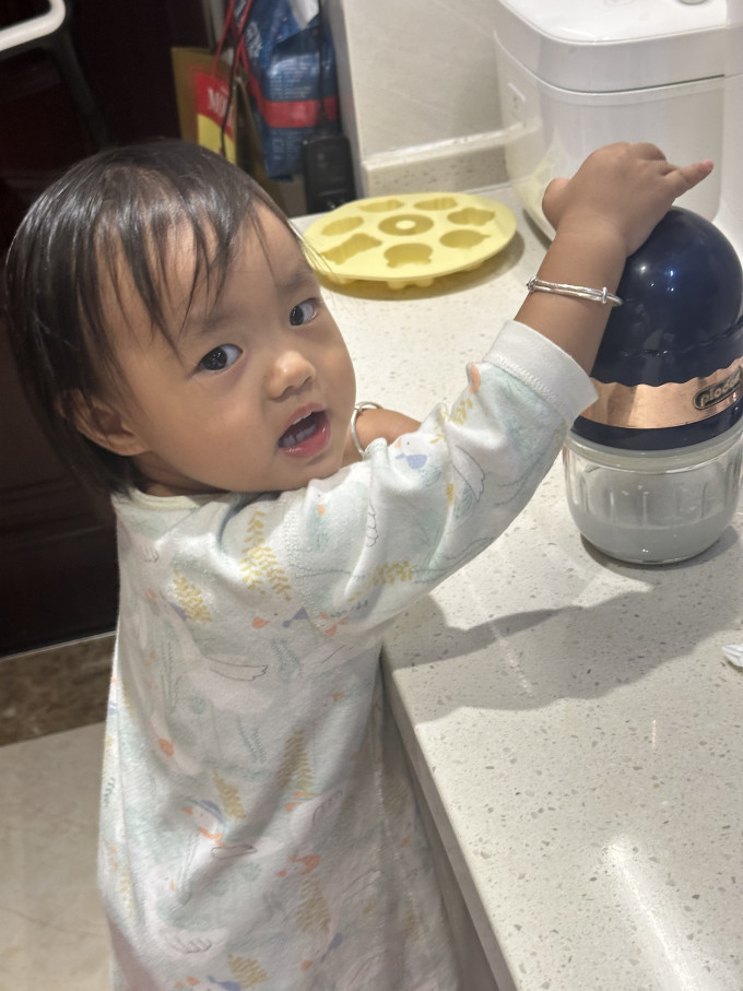 其他厨房电器