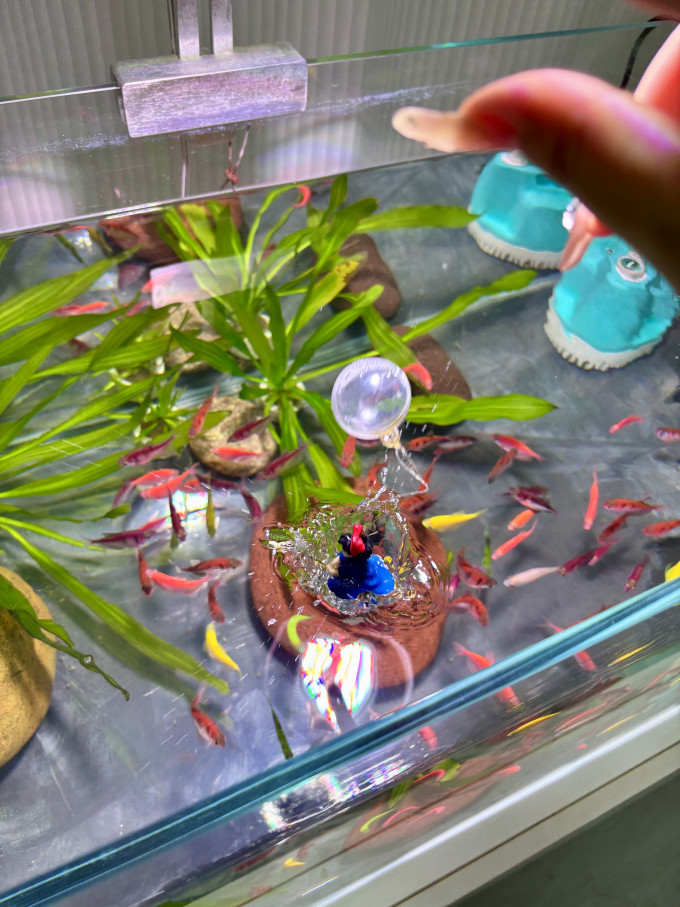 鱼缸