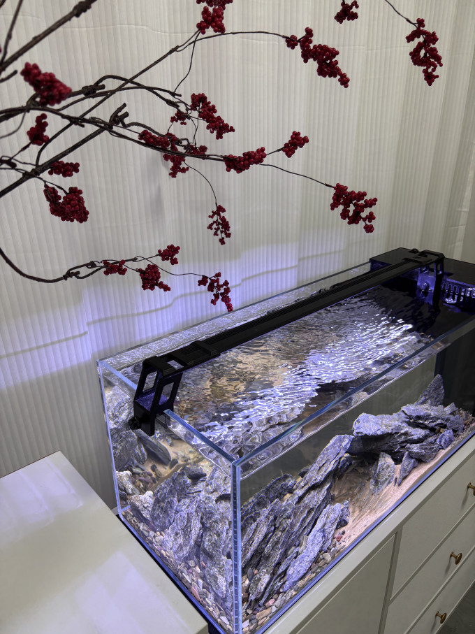 鱼缸