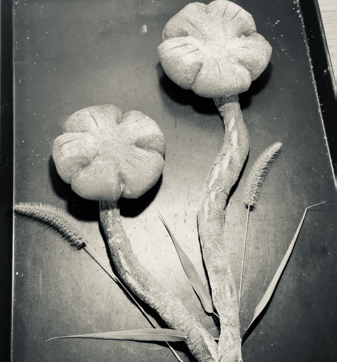 伯爵伯爵传统T65小麦面粉高筋面粉石磨面包法棍吐司散装家用测评