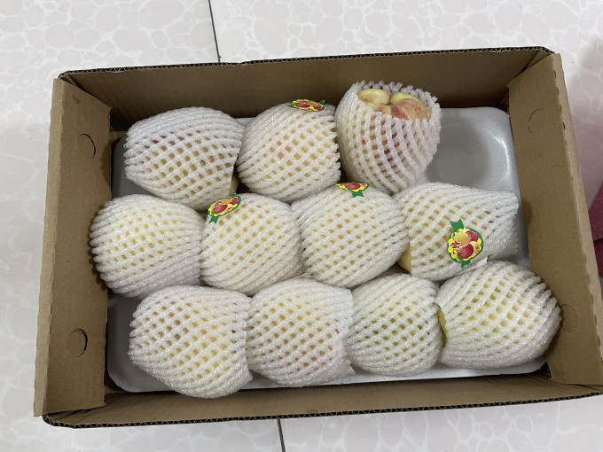 南步其他水果