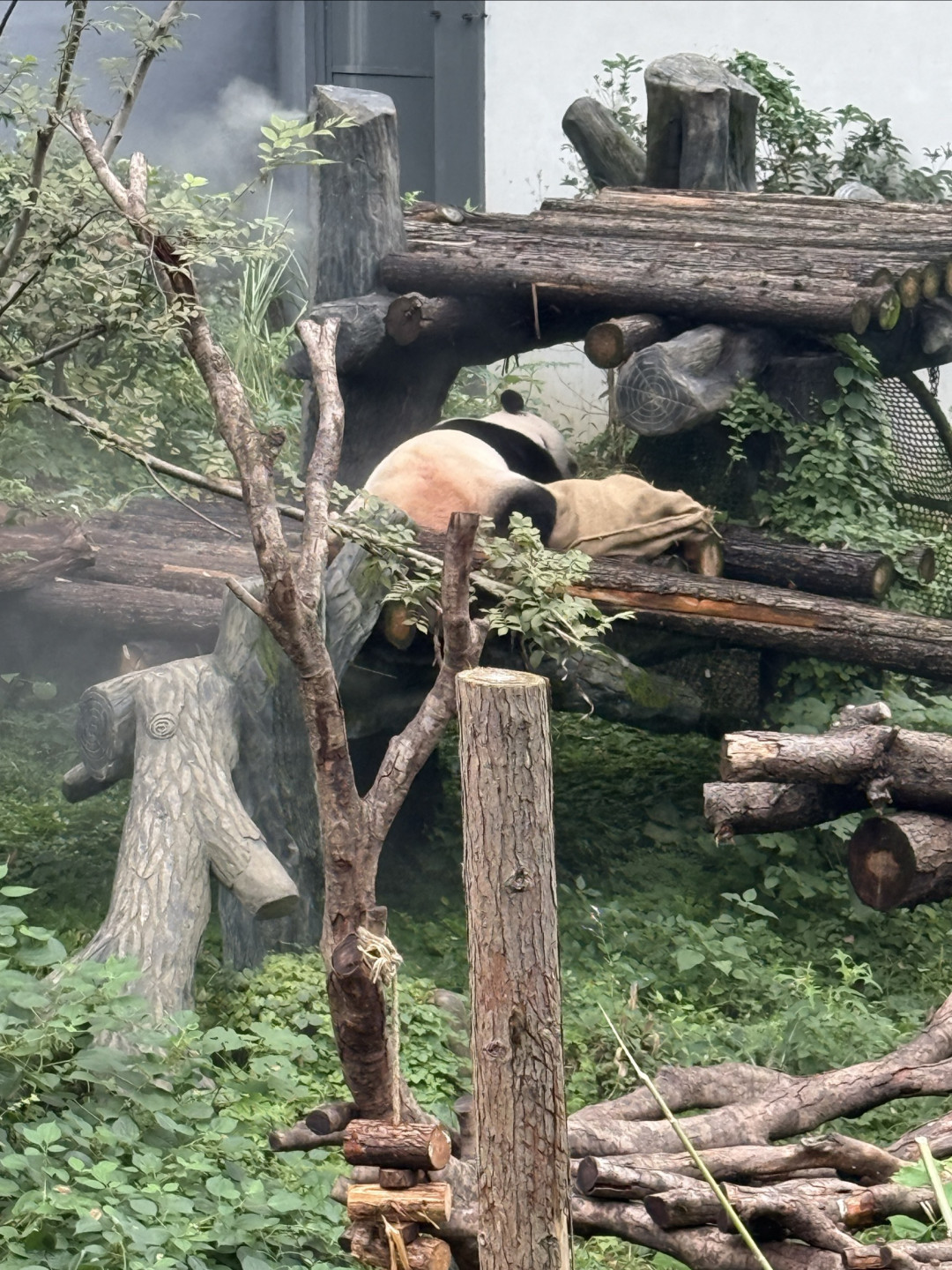 红山动物园周末探索计划