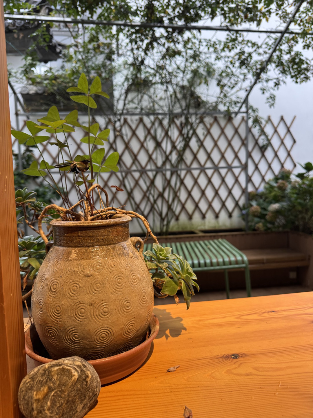 Solotrip大理Day3:大理古城➕扎染体验