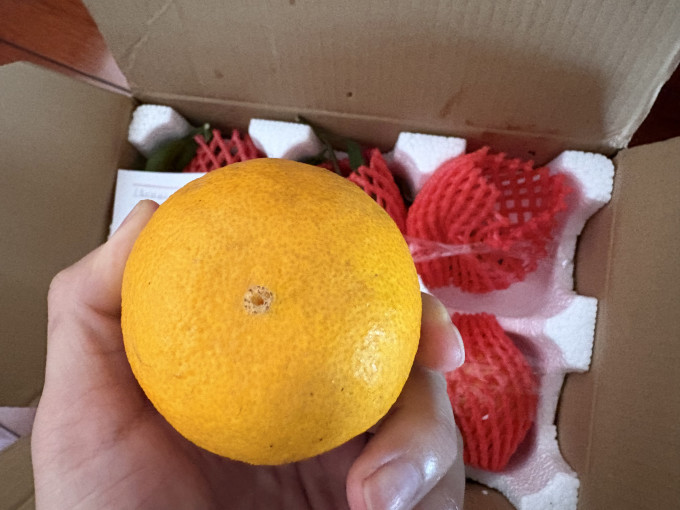 京鲜生橙子