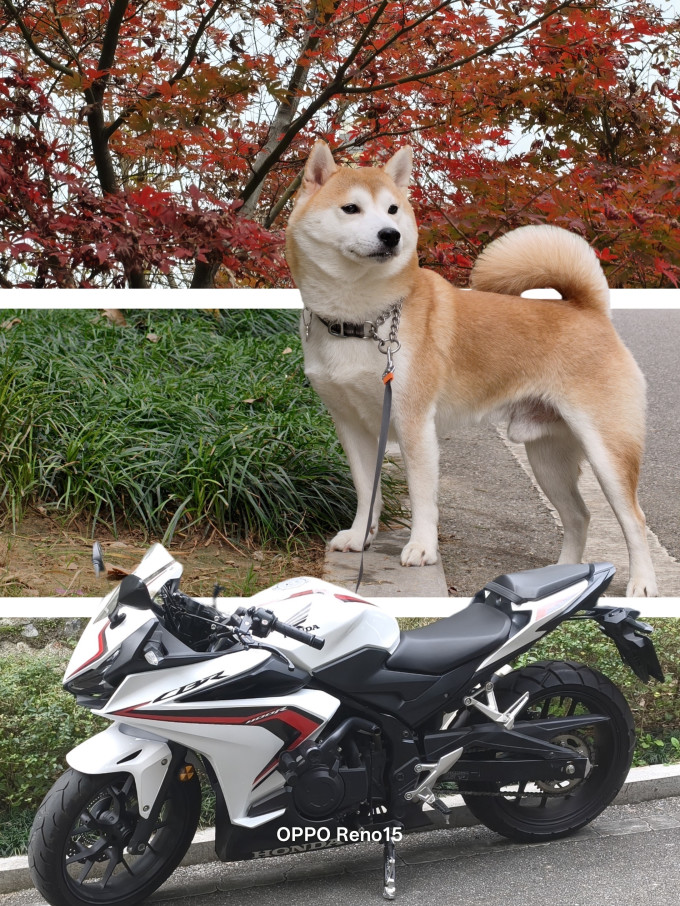 影像