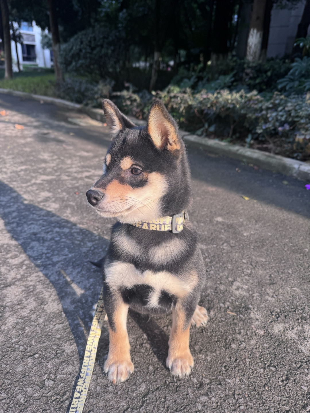 一个人的斯里兰卡自由行---准备篇_国外度假_什么值得买